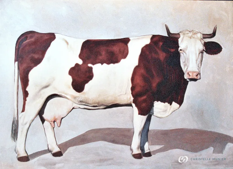 Huile sur toile, Vache montbéliarde, Christelle Cuche