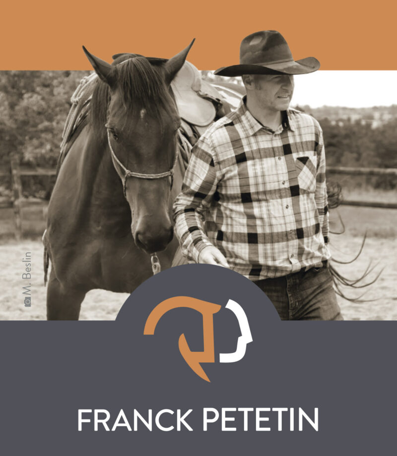 création logo equitation franck petetin
