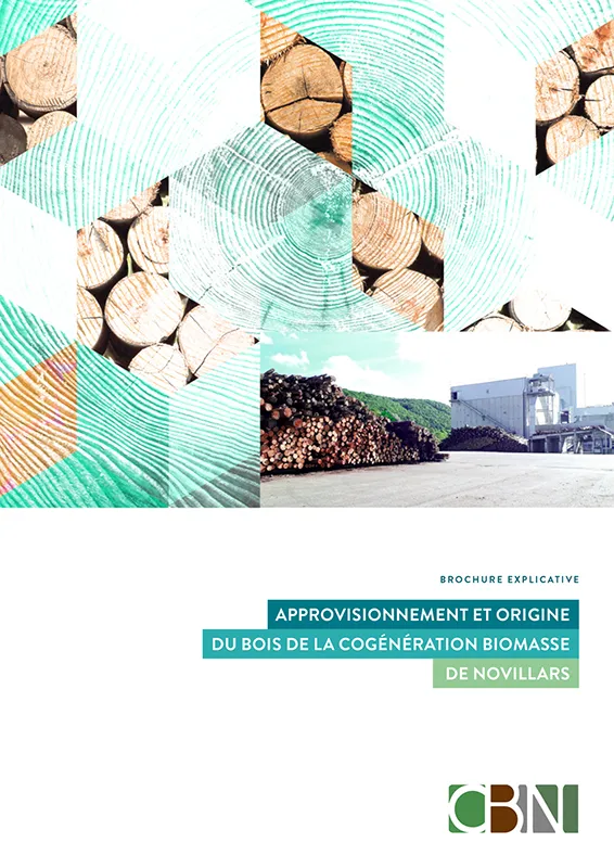 CBN-brochure-explicative-bois