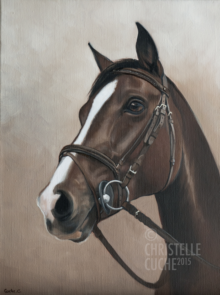 Portrait tête cheval peinture