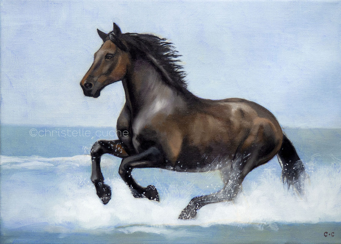 Portrait cheval galop Artiste peintre Besançon